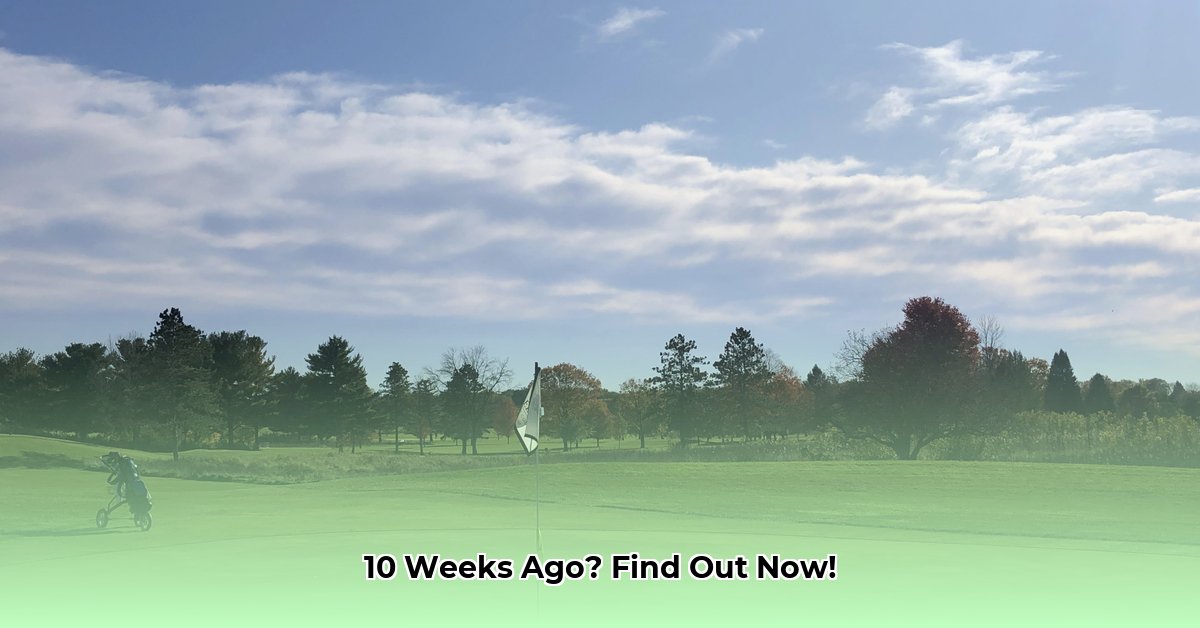 what-was-10-weeks-ago-from-today